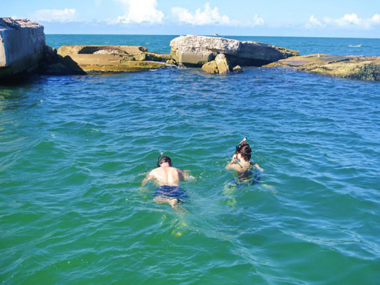 Snorkeling & Egmont Key Trips YOLO Adventures