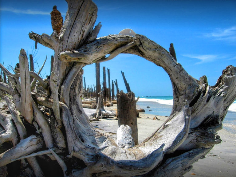 Snorkeling & Egmont Key Trips YOLO Adventures